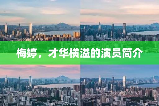 梅婷，才华横溢的演员简介