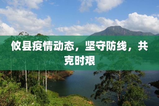 攸县疫情动态，坚守防线，共克时艰