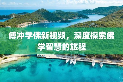 傅冲学佛新视频，深度探索佛学智慧的旅程