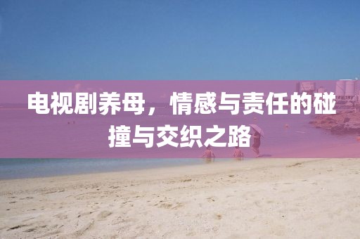 电视剧养母，情感与责任的碰撞与交织之路