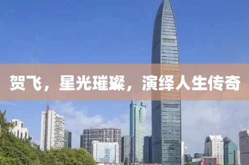 贺飞，星光璀璨，演绎人生传奇