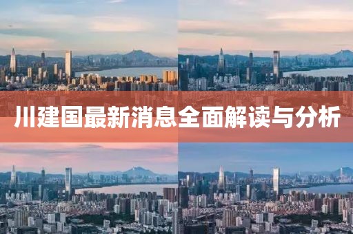 川建国最新消息全面解读与分析
