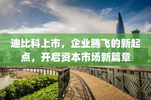迪比科上市，企业腾飞的新起点，开启资本市场新篇章