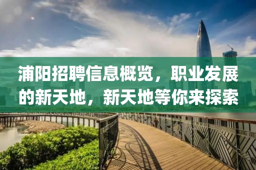 浦阳招聘信息概览，职业发展的新天地，新天地等你来探索