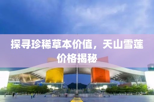 枫以 第6页
