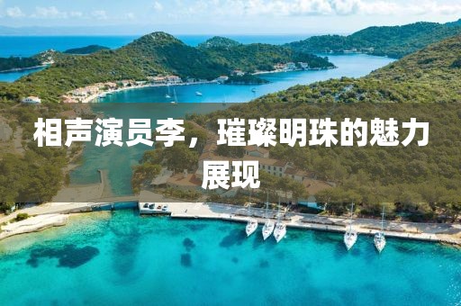 相声演员李，璀璨明珠的魅力展现