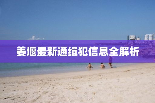 姜堰最新通缉犯信息全解析