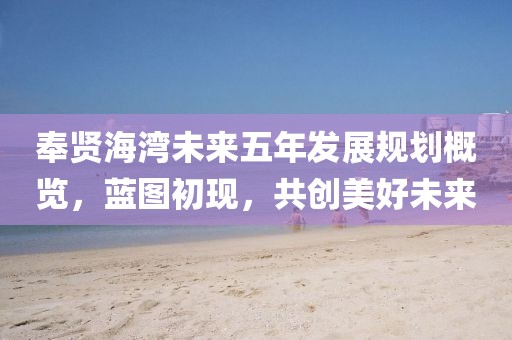 奉贤海湾未来五年发展规划概览，蓝图初现，共创美好未来