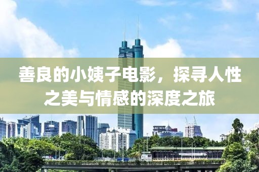 善良的小姨子电影，探寻人性之美与情感的深度之旅