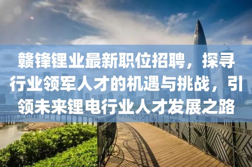 赣锋锂业最新职位招聘，探寻行业领军人才的机遇与挑战，引领未来锂电行业人才发展之路
