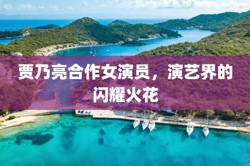贾乃亮合作女演员，演艺界的闪耀火花