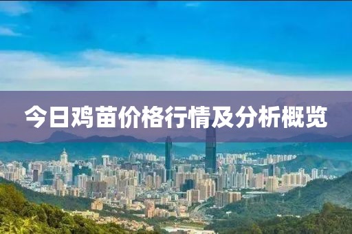 今日鸡苗价格行情及分析概览