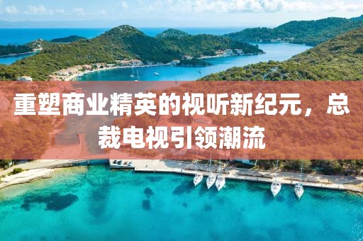 重塑商业精英的视听新纪元，总裁电视引领潮流