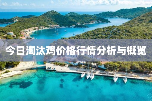 今日淘汰鸡价格行情分析与概览