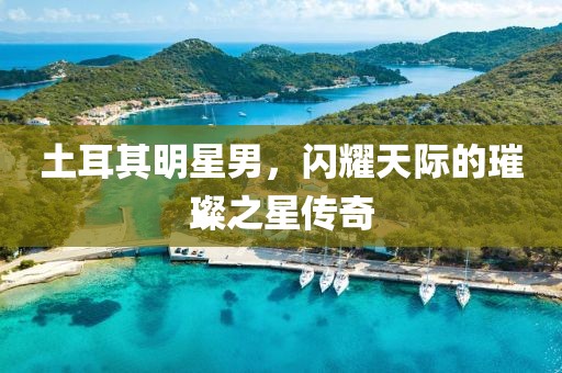 土耳其明星男，闪耀天际的璀璨之星传奇
