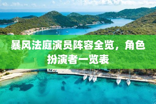 暴风法庭演员阵容全览，角色扮演者一览表