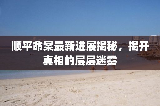 顺平命案最新进展揭秘，揭开真相的层层迷雾