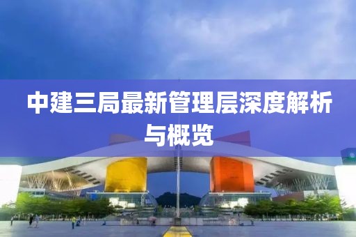 中建三局最新管理层深度解析与概览