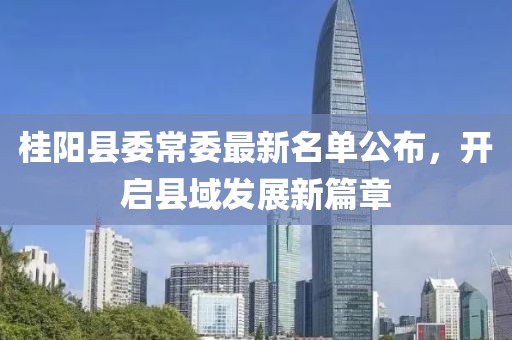桂阳县委常委最新名单公布，开启县域发展新篇章