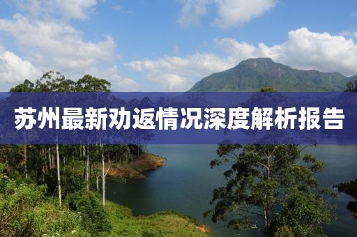 苏州最新劝返情况深度解析报告