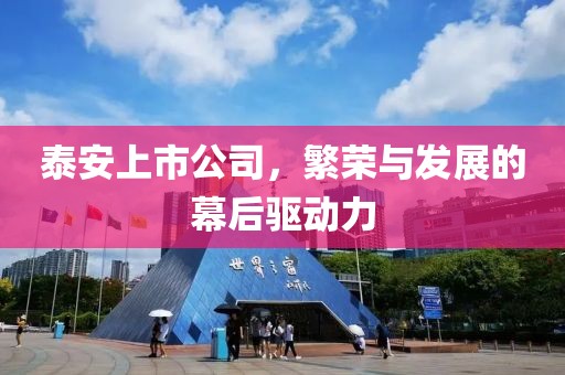 泰安上市公司，繁荣与发展的幕后驱动力