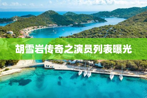 胡雪岩传奇之演员列表曝光