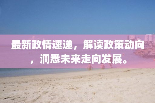 最新政情速递，解读政策动向，洞悉未来走向发展。