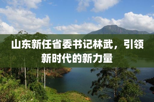 山东新任省委书记林武，引领新时代的新力量