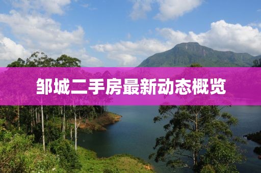 邹城二手房最新动态概览
