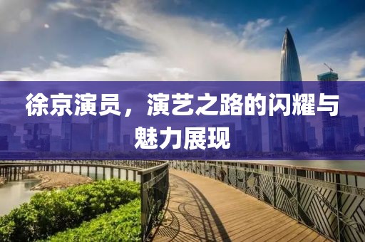 徐京演员，演艺之路的闪耀与魅力展现