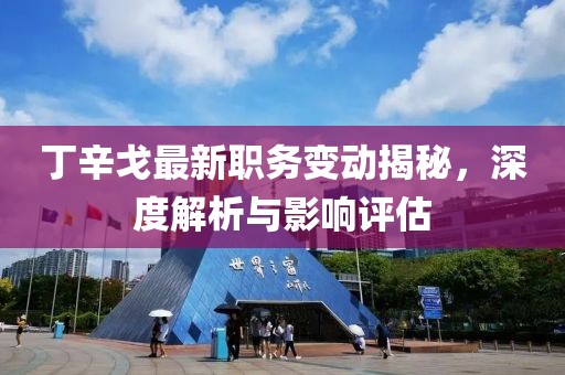 丁辛戈最新职务变动揭秘，深度解析与影响评估