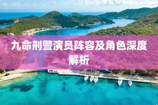 九命刑警演员阵容及角色深度解析