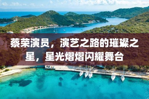 蔡荣演员，演艺之路的璀璨之星，星光熠熠闪耀舞台