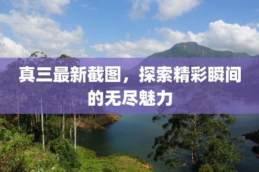 真三最新截图，探索精彩瞬间的无尽魅力