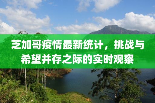 芝加哥疫情最新统计，挑战与希望并存之际的实时观察