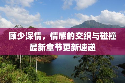 顾少深情，情感的交织与碰撞最新章节更新速递