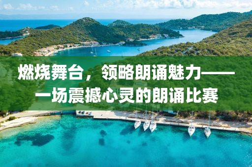 燃烧舞台，领略朗诵魅力——一场震撼心灵的朗诵比赛