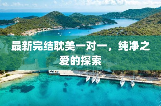 最新完结耽美一对一，纯净之爱的探索