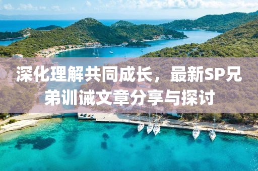 深化理解共同成长，最新SP兄弟训诫文章分享与探讨