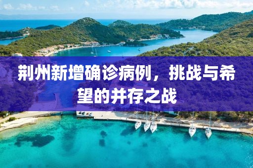 荆州新增确诊病例，挑战与希望的并存之战