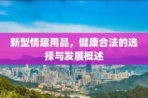 新型情趣用品，健康合法的选择与发展概述