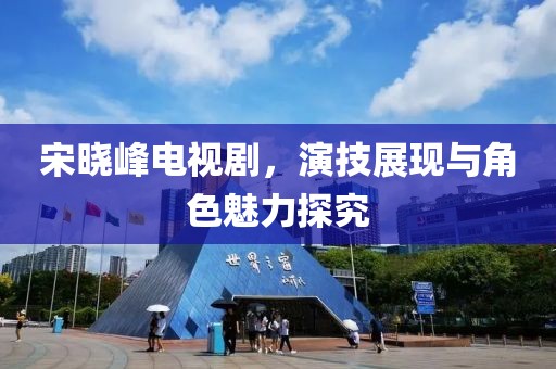 宋晓峰电视剧，演技展现与角色魅力探究