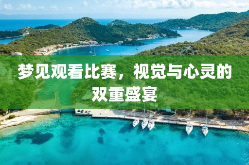 梦见观看比赛，视觉与心灵的双重盛宴
