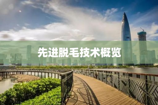 先进脱毛技术概览