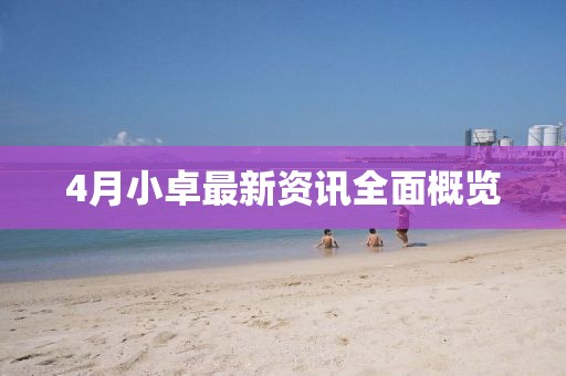 你是不是油饼 第3页