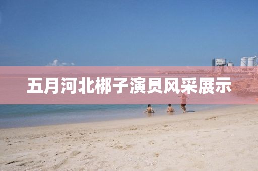 五月河北梆子演员风采展示