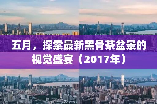 五月，探索最新黑骨茶盆景的视觉盛宴（2017年）