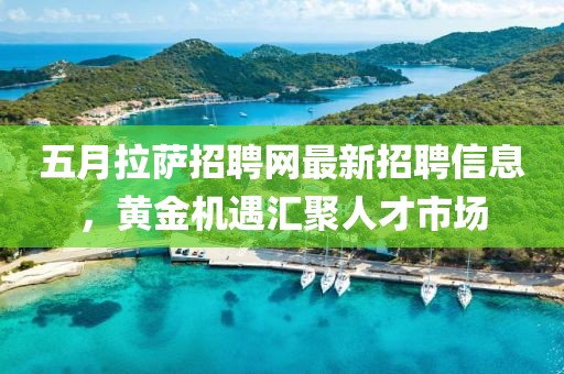 五月拉萨招聘网最新招聘信息，黄金机遇汇聚人才市场