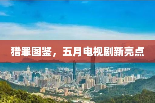 猎罪图鉴，五月电视剧新亮点