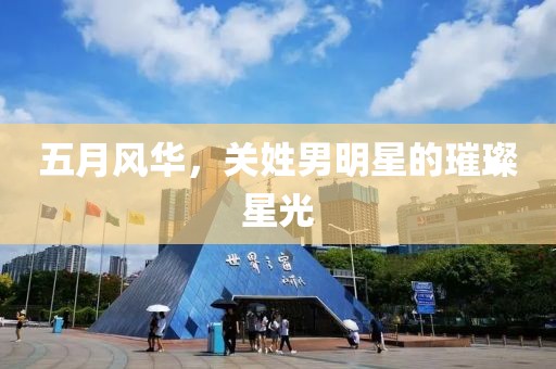 五月风华，关姓男明星的璀璨星光